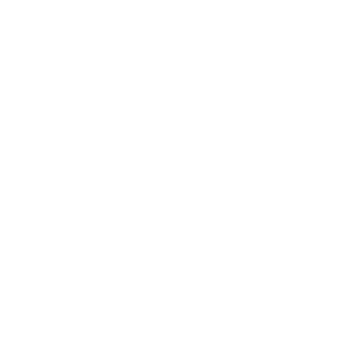 Telegram plane